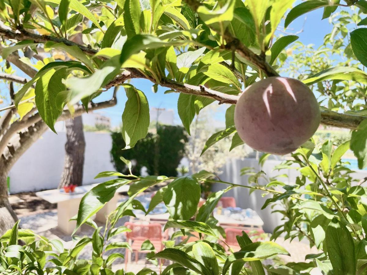 Charm Of The Algarve, Luxury Guesthouse Adults Only Olhão Eksteriør billede